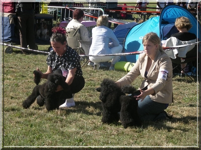 Des hauteurs de la sole - exposition de Romorantin 2009