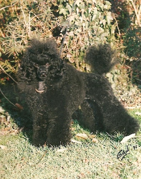Naomie Des hauteurs de la sole