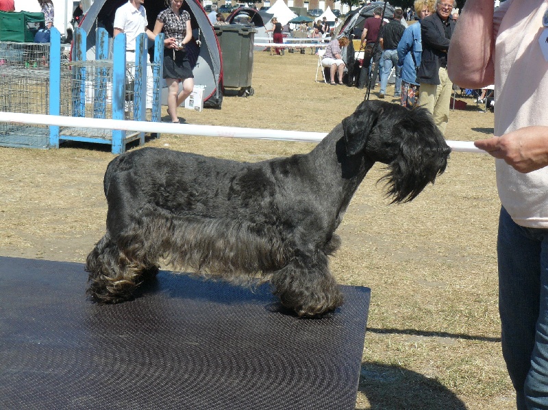 evreux 2011